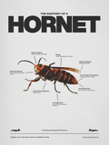 Hornet Poster