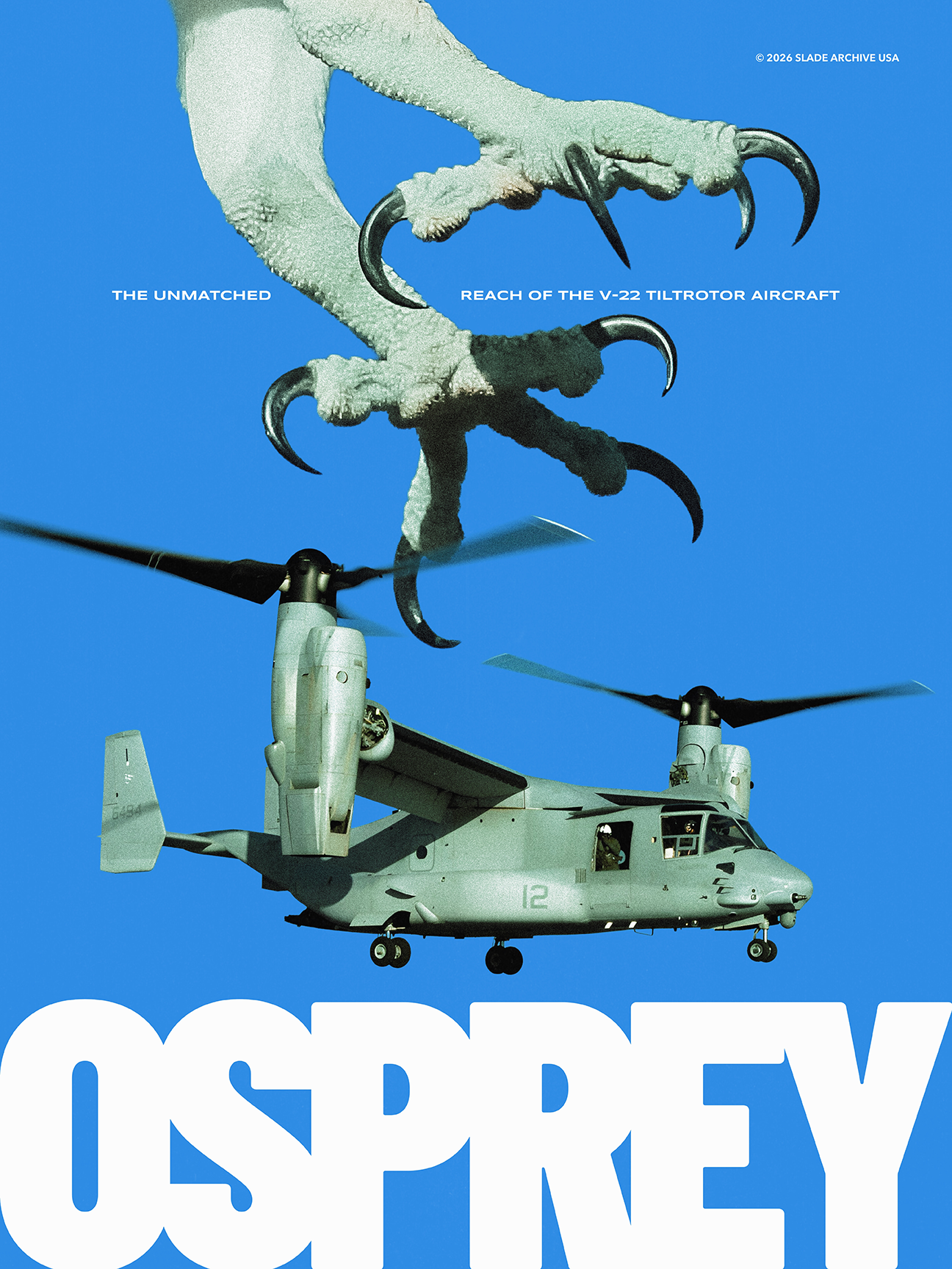 Osprey Poster