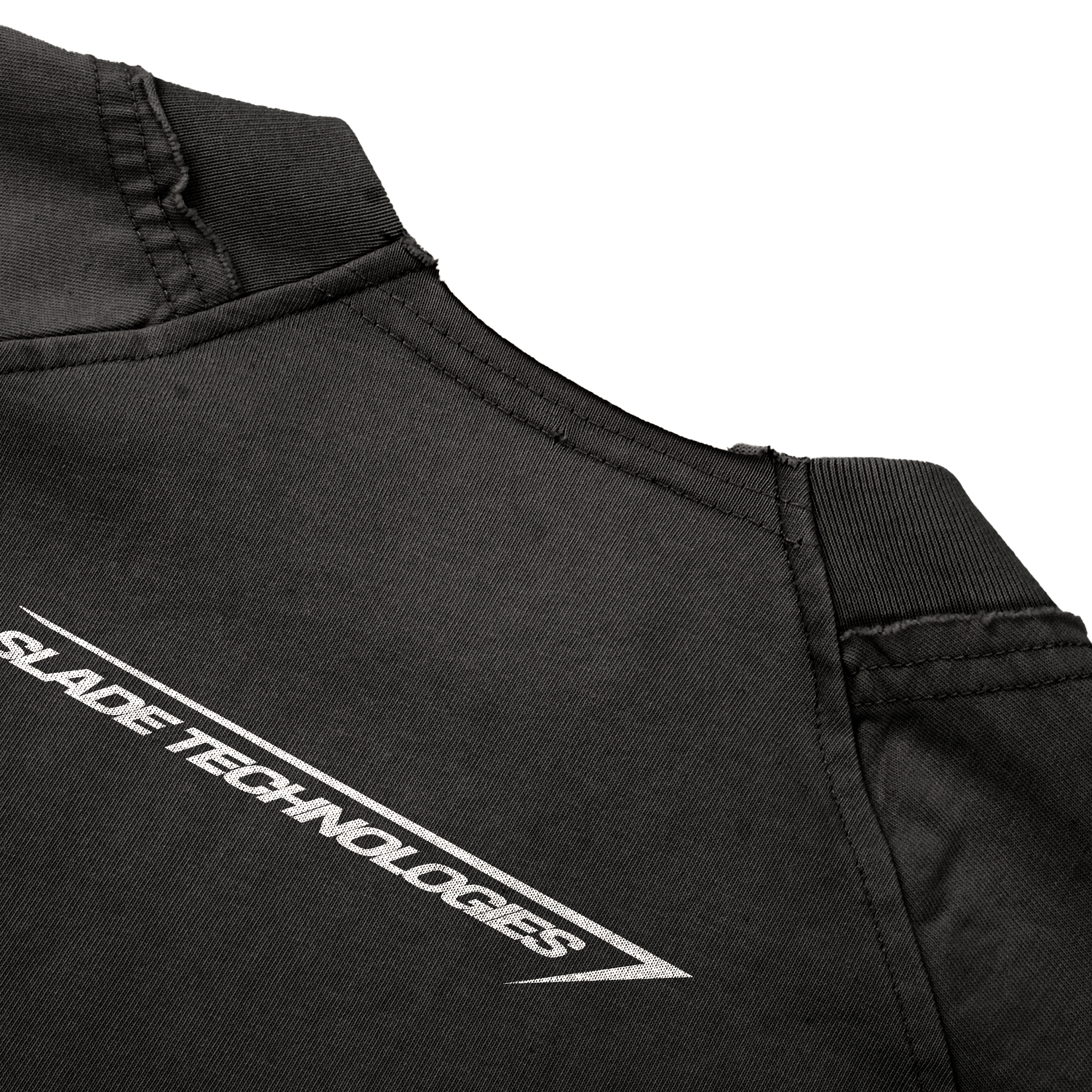 F-22 Raptor Raglan Tee