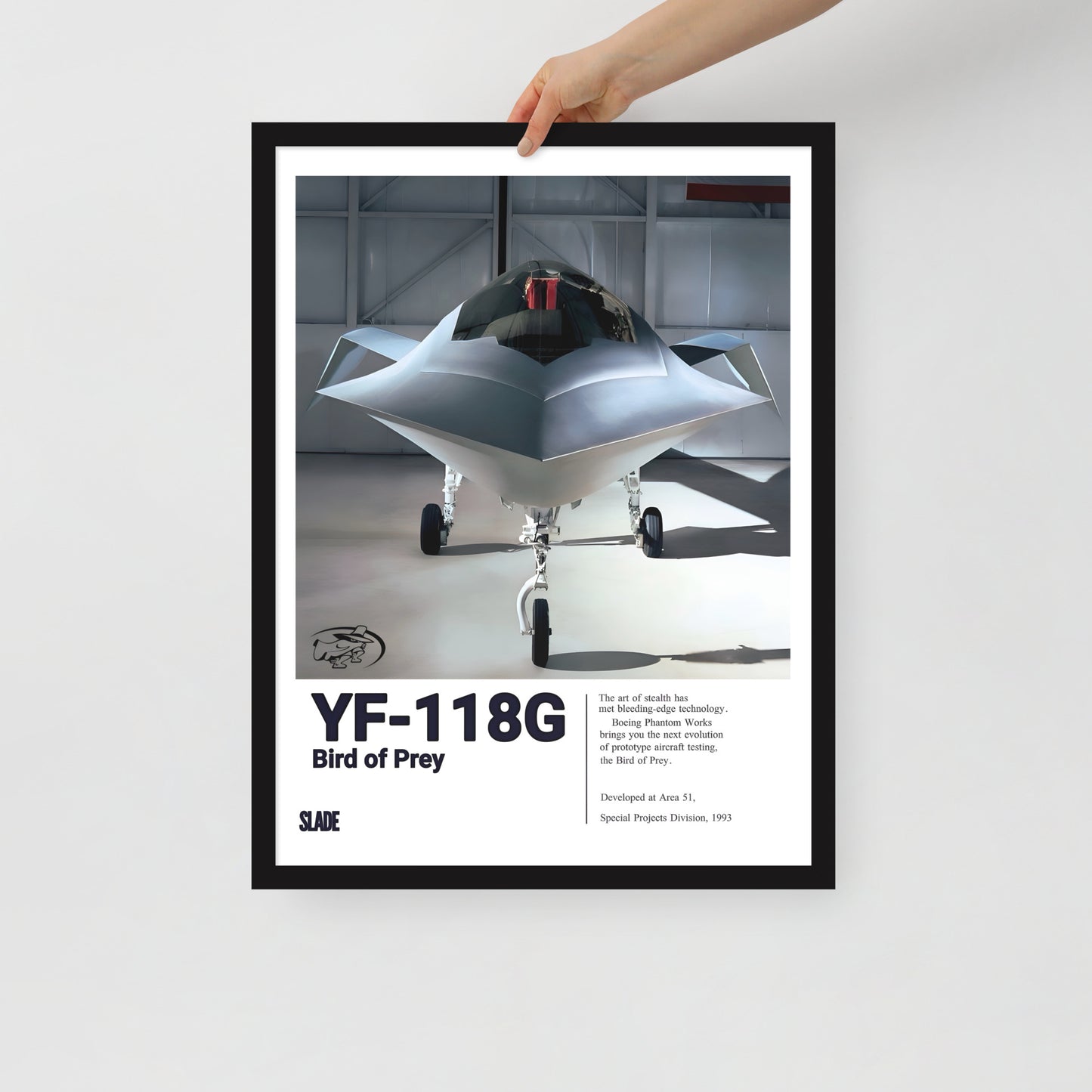 Framed YF-118G