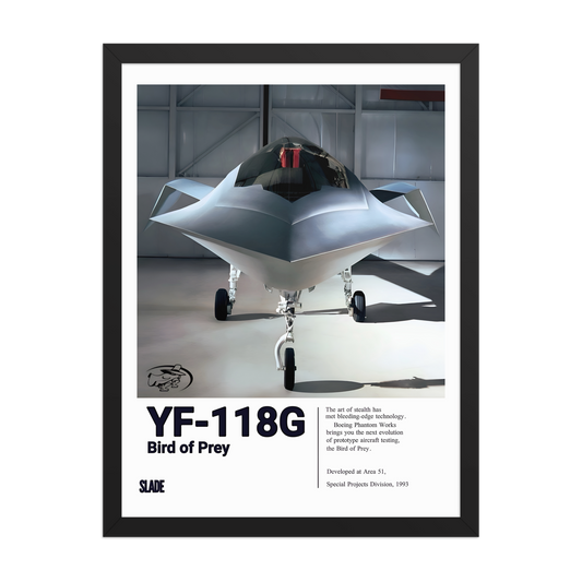 Framed YF-118G