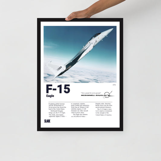 Framed F-15 Eagle