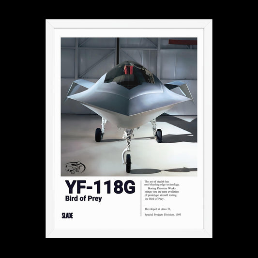 Framed YF-118G