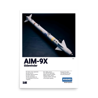 AIM-9X Poster